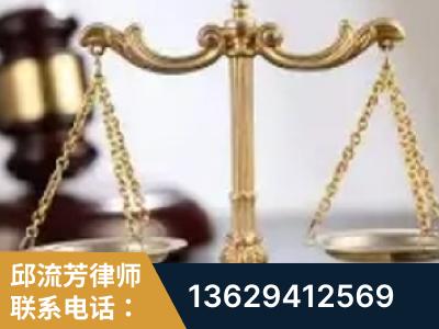 丽水-委托诉讼代理人出庭